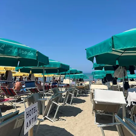 Antik Golem (Tirana)